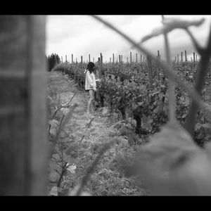 Meet your Posher, Ava